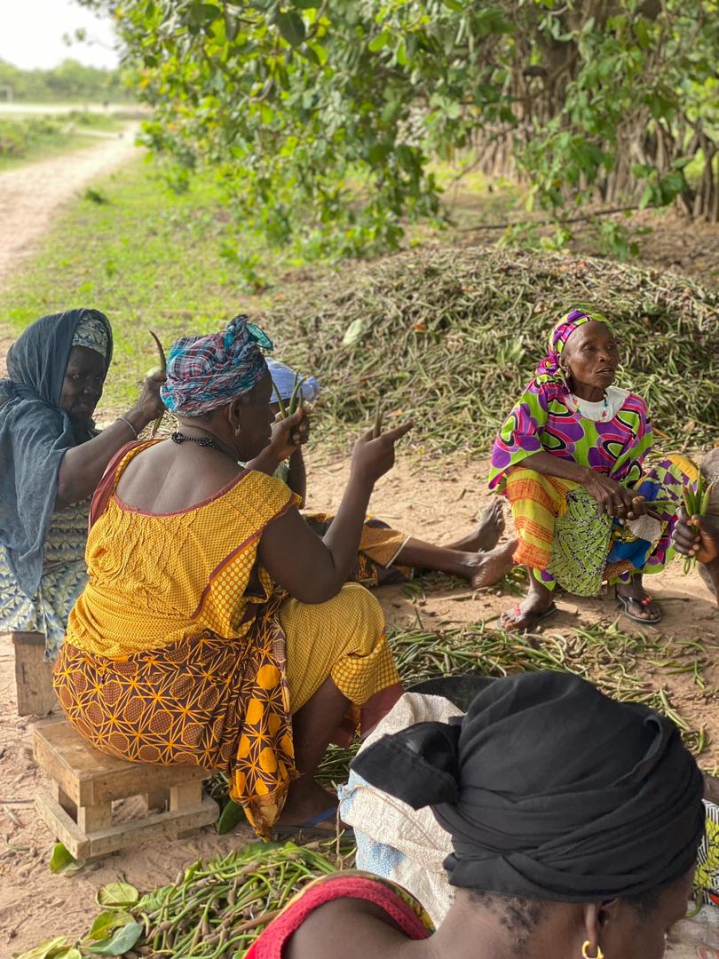 Femmes membres de AAR ALAM SENEGAL travaillant ensemble sur le terrain