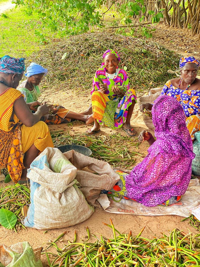 Femmes en formation et travail communautaire